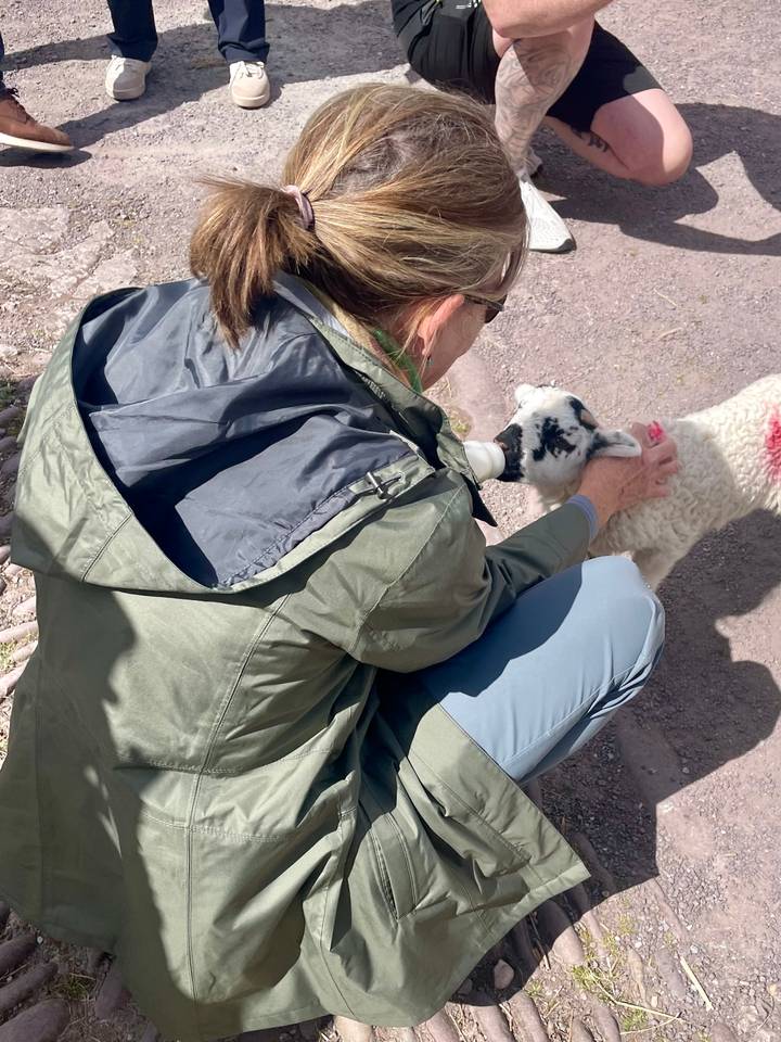Traveller kneels to bottle-feed a small lamb on a farm track.