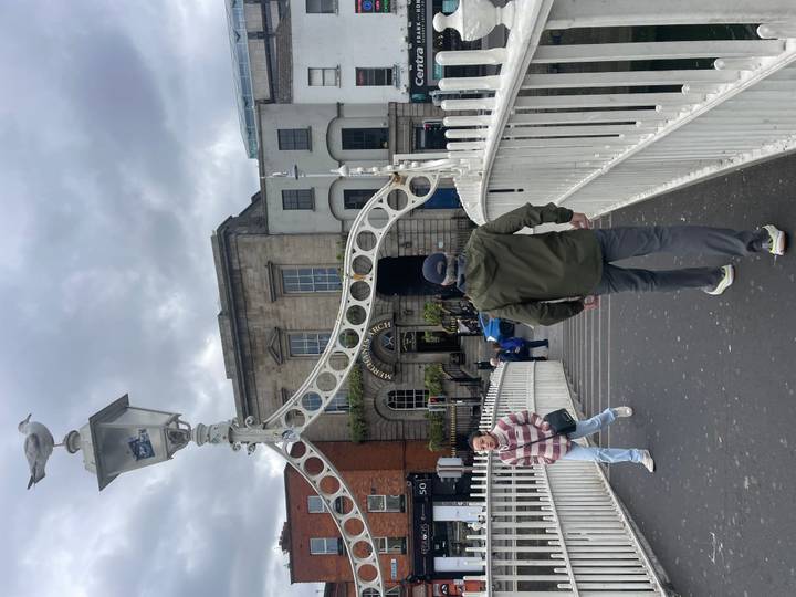 Pedestrians cross Dublin’s Ha’penny Bridge under a gray sky, with a seagull perched on the lamp above.