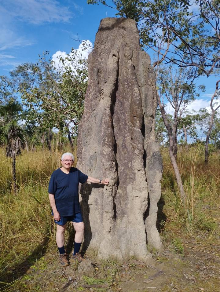 Visitor posing next to a towering magnetic termite mound among tall grasses