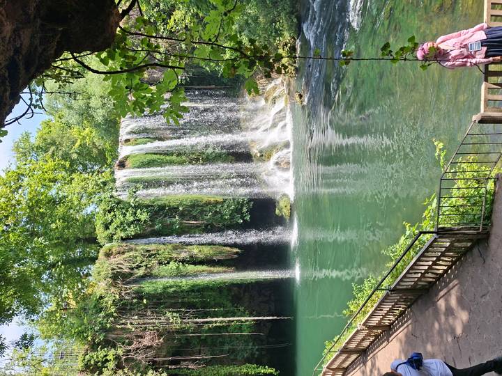 Lush green waterfall cascading into a tranquil pool surrounded by forest vegetation