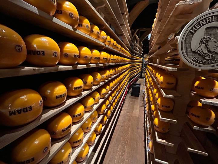 Long rows of glossy orange Edam cheese wheels aging on wooden racks in a warehouse.