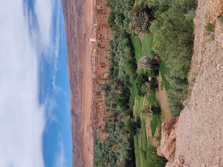Panoramic view of a lush green oasis with palm trees and an adobe town backed by arid hills under a blue sky.