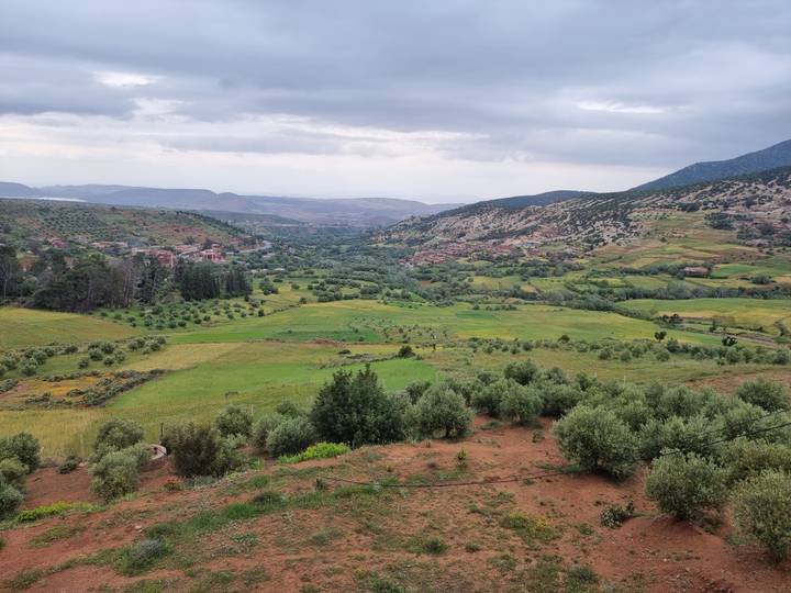 Wide green valley dotted with olive trees and small villages, bordered by rolling hills under an overcast sky.