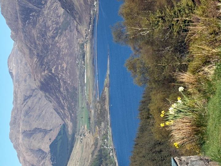Deep blue loch surrounded by rugged brown mountains and spring flowers blooming in the foreground.