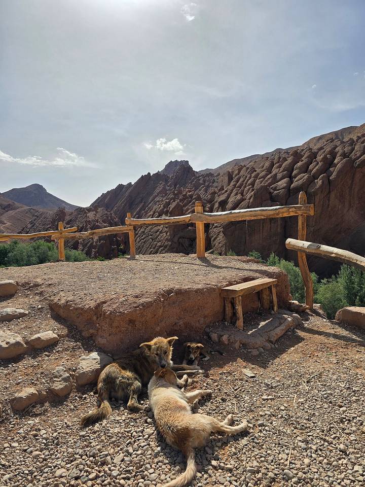 Rocky desert viewpoint with wooden railing overlooking dramatic red cliffs and distant mountains in the Dades Gorge area.