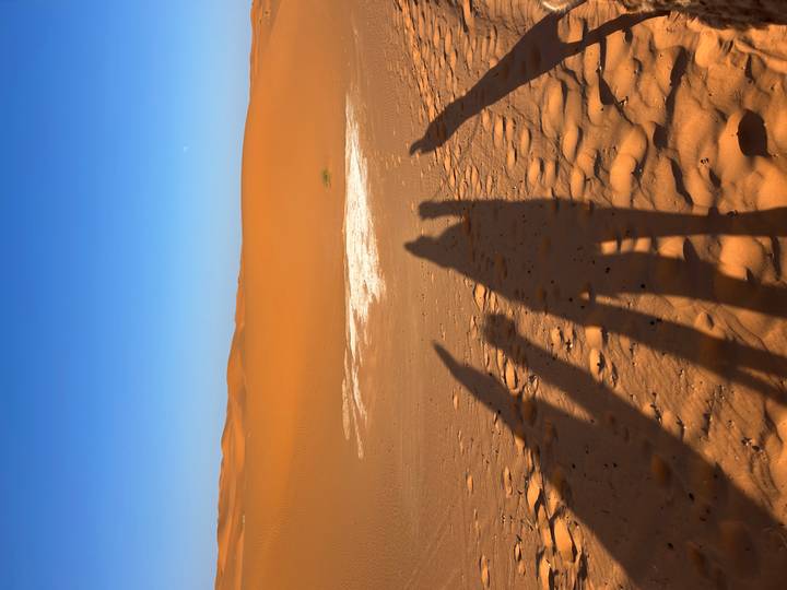 Long shadows of travelers stretch across smooth orange desert sands in early morning light.
