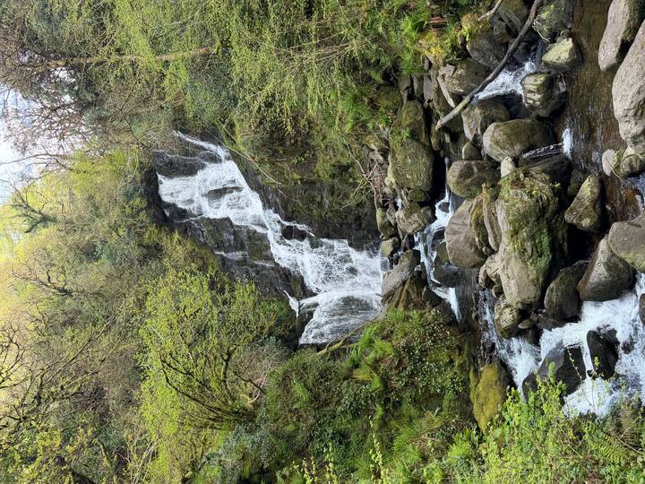 A multi-tiered forest waterfall cascades over mossy rocks surrounded by lush green vegetation.