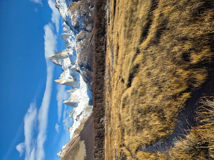 Golden autumn grasses lead the eye to the snow-capped spires of Mount Fitz Roy beneath a cobalt sky.