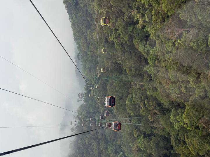 Colourful cable cars glide above dense tropical forest with misty mountains in the background.