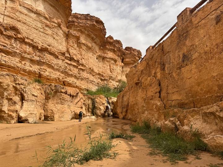 A lone hiker explores a narrow sandstone canyon with rugged ochre walls and a shallow stream.