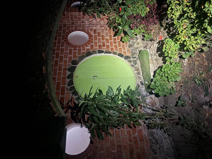 Nighttime flash photo of a round green hobbit-style door set in a brick hut surrounded by plants
