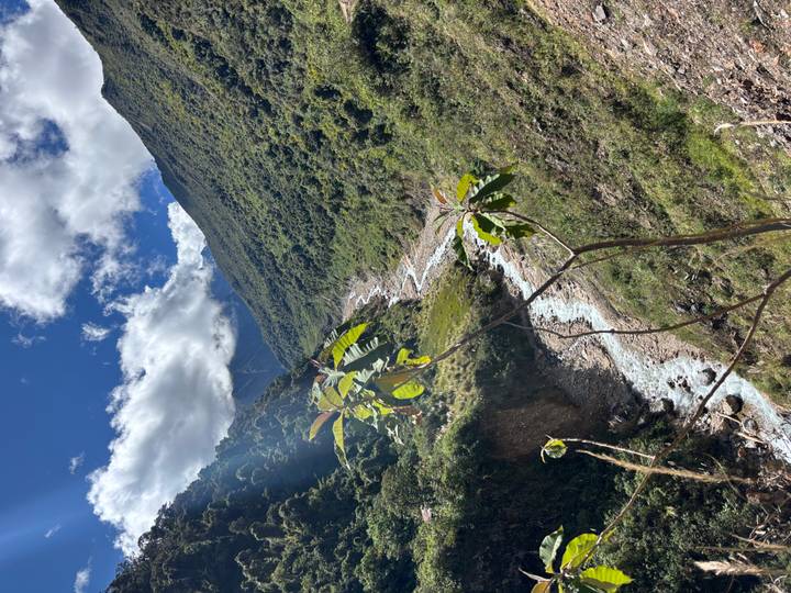 Mountain river cutting through dense forested slopes under a patchy sky