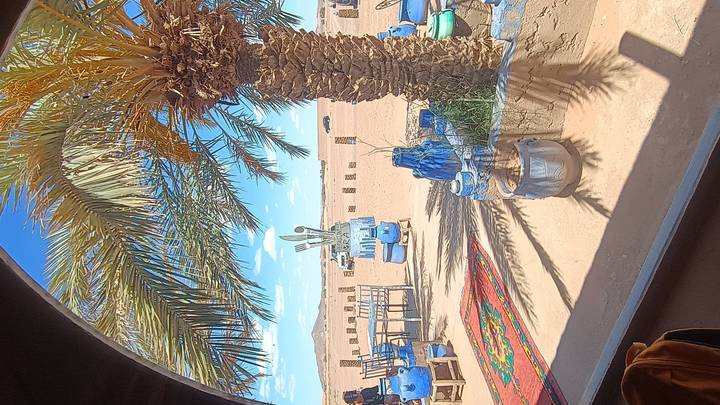 Open-air desert café decorated in vibrant blues overlooks vast sandy plains framed by palm trees.