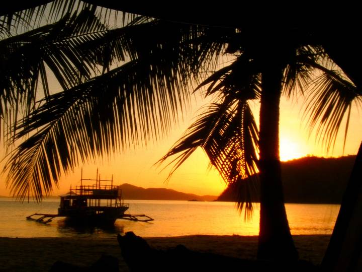 Silhouette of a traditional outrigger boat framed by palm leaves during a tropical sunset