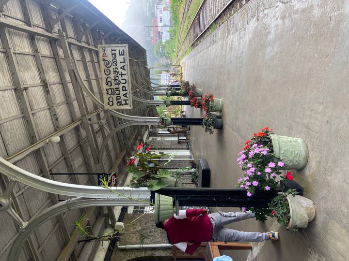 Flower-filled platform of Haputale railway station with vintage sign and tracks.