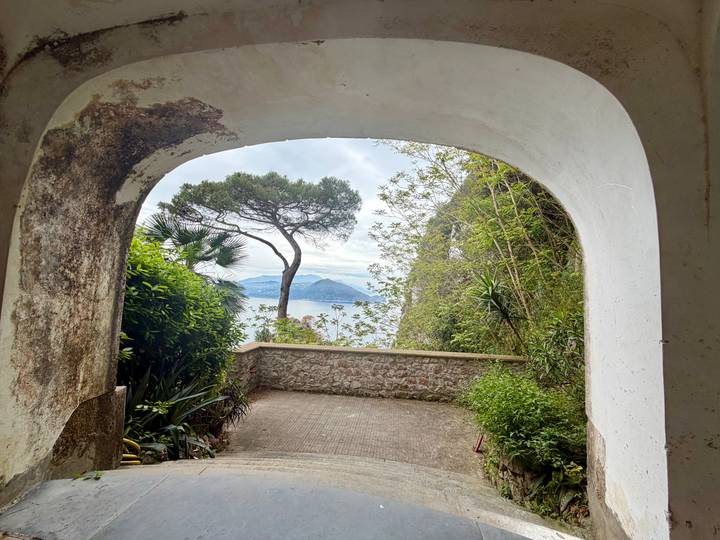 View through a stone archway framing a lone pine tree and distant sea with mountains.