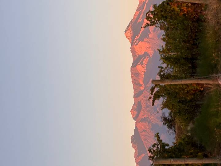 Mountain peaks glow pink at sunset above vineyard rows and a fence post.