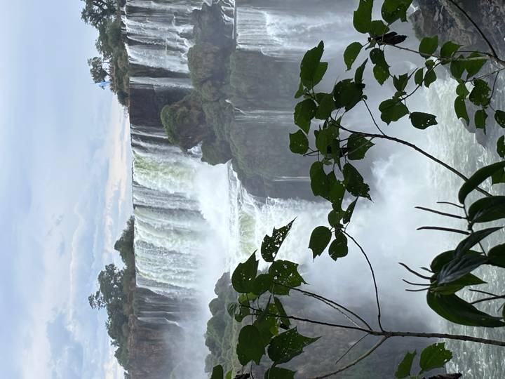 Powerful waterfalls plunge over a cliff framed by lush leaves in the foreground.
