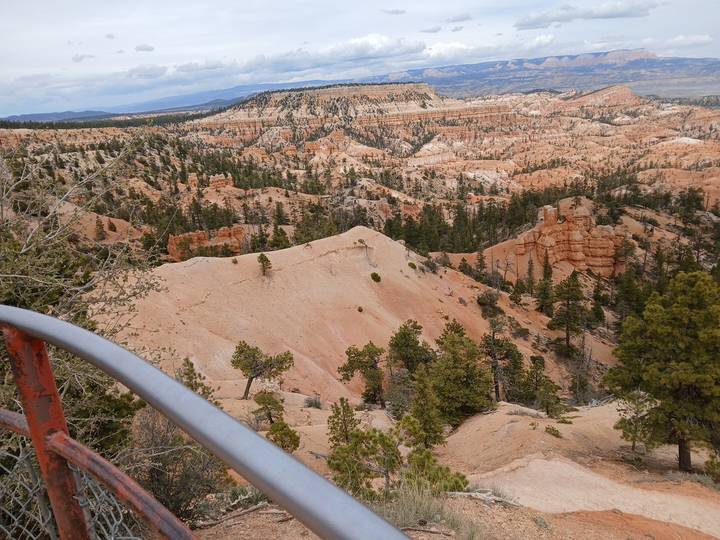 Sweeping vista over Bryce Canyon's orange hoodoos and pine-studded ridges beneath a blue sky.