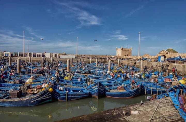 Dozens of bright blue wooden fishing boats crowd a bustling harbour under a clear sky.