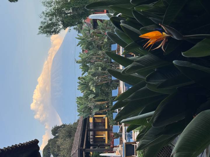 Lush tropical gardens and a hotel pool frame a distant volcano glowing with evening light.