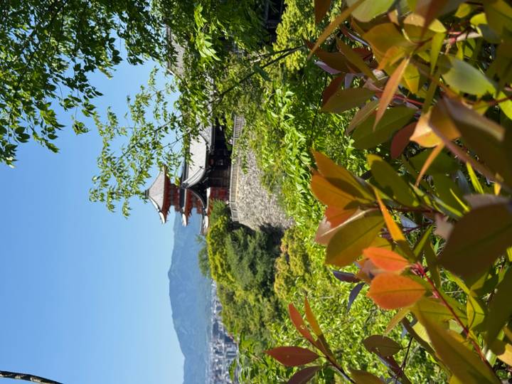 Pagoda partially hidden by foliage on hillside under blue sky