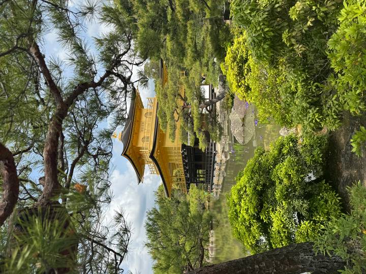 Golden Pavilion temple reflected in pond framed by pine branches