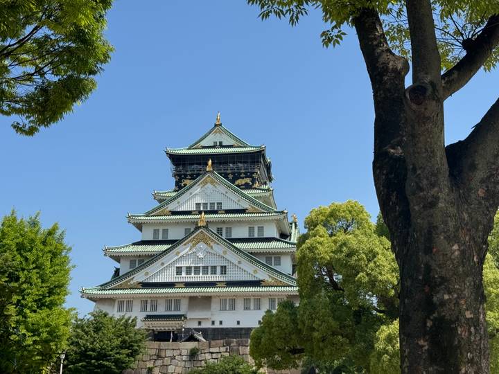 Front view of Osaka Castle with blue sky framed by trees