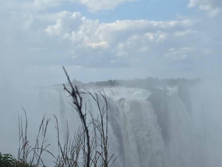 Side view of Victoria Falls curtain framed by reeds and drifting spray under cloudy sky.