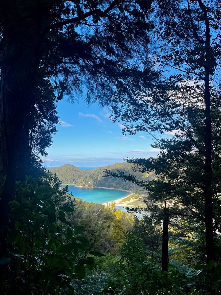 Turquoise bay seen through natural tree frame along forest trail in Abel Tasman National Park
