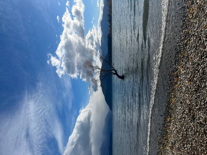 Iconic lone willow tree standing in Lake Wanaka beneath dramatic sky and mountains