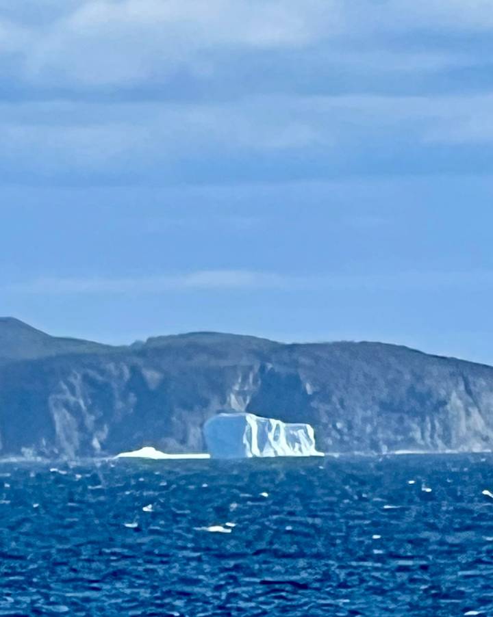 Distant iceberg floats against a backdrop of dark coastal cliffs under a blue sky.