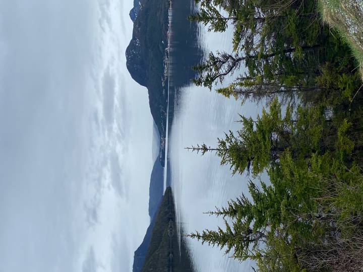 Calm fjord-like inlet framed by evergreen trees and distant hills beneath a cloudy sky.