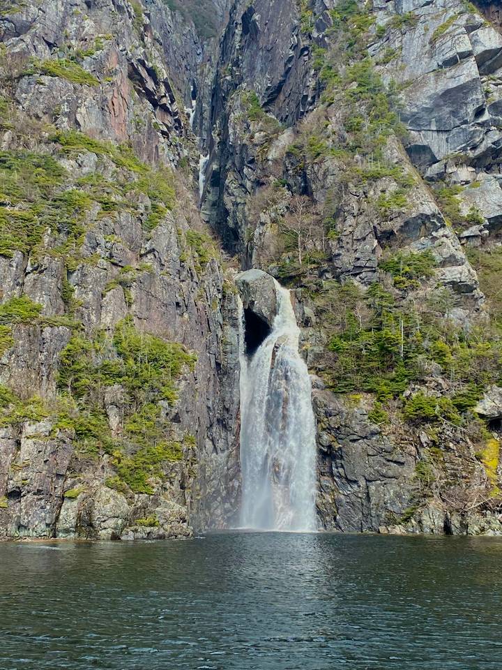 High waterfall cascades down a sheer forested rock face surrounded by evergreen trees.