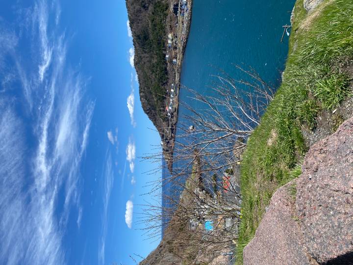 Bright turquoise harbour waters curve between tree-covered hills under a crisp spring sky.