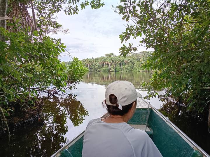 Traveller in a small green boat drifting through a calm rainforest lake framed by thick vegetation.