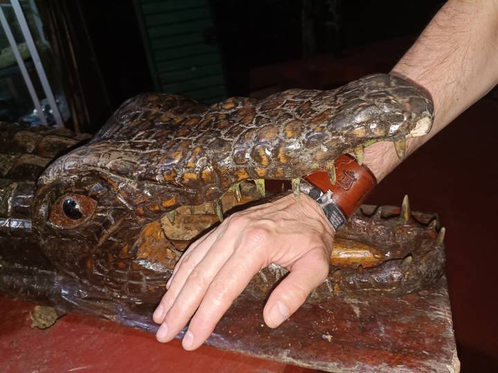 Hand playfully inserted into the carved wooden jaws of a crocodile sculpture.