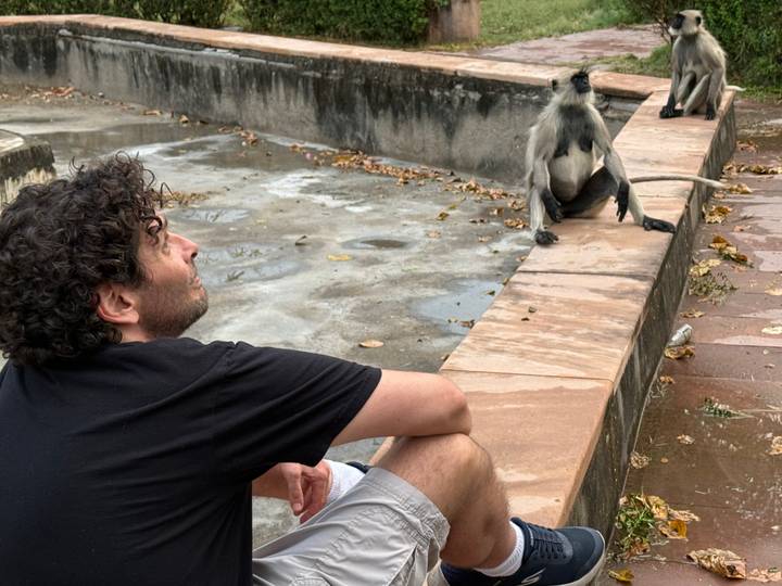 Traveller sits on a stone ledge observing gray langur monkeys in a temple courtyard.