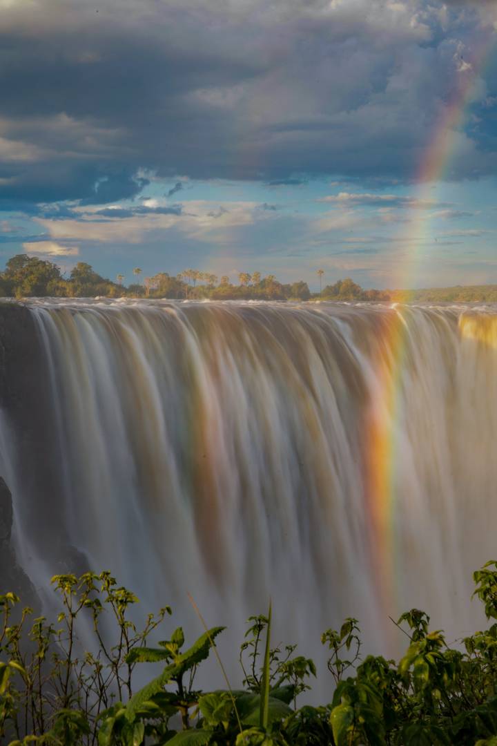 Powerful curtain of Victoria Falls with a vivid rainbow arching through the mist under a blue sky.