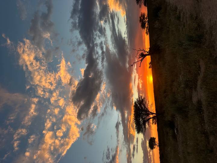 Orange sun setting behind scattered clouds on an open savanna with acacia silhouettes.