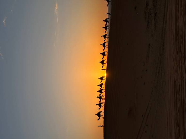 Long line of camel riders silhouettes against a vibrant orange sunset on a desert ridge.