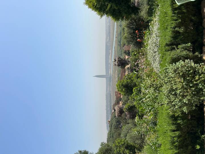 Lush garden foreground frames the sleek Mohammed VI Tower rising on the hazy horizon.
