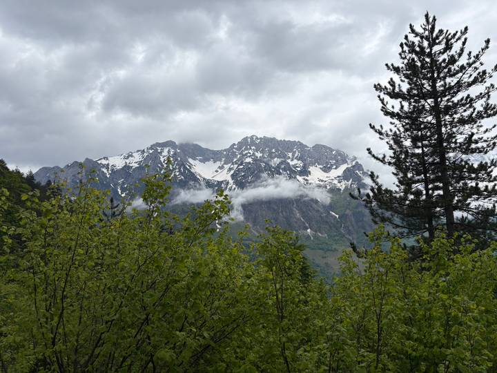 Snowy mountain peak shrouded in low clouds viewed above fresh green foliage.