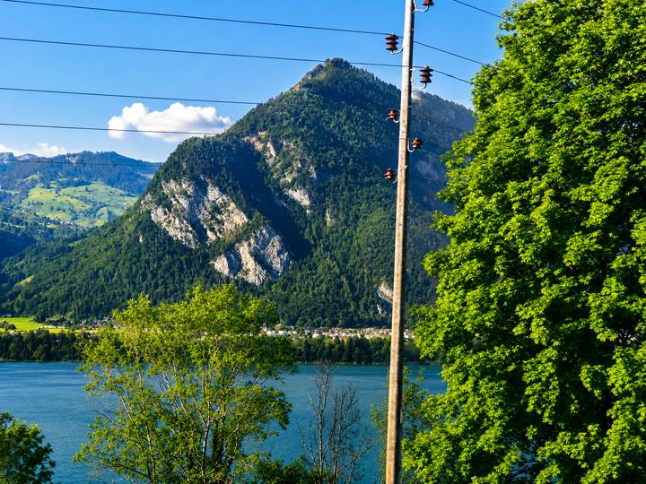 Mountain rising above a lake partly obscured by trees and power lines in the foreground.