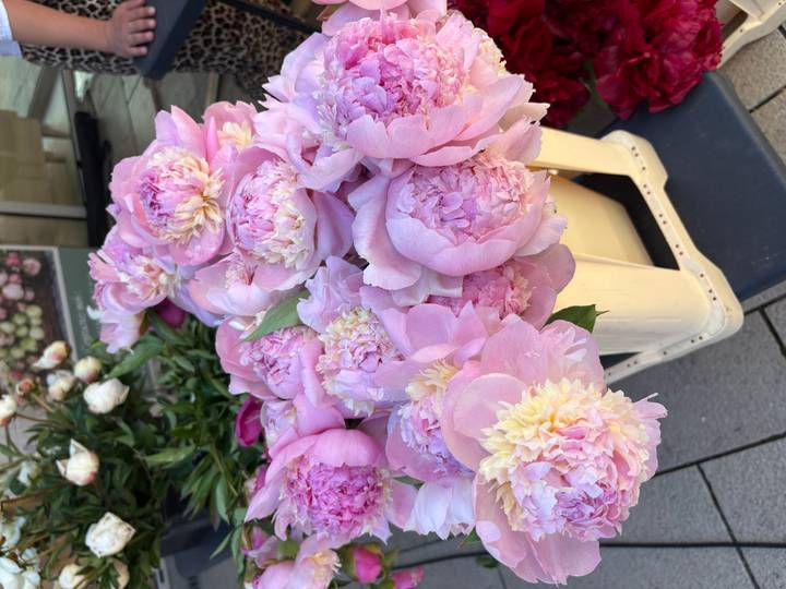 Bucket filled with freshly cut pink peonies displayed at an outdoor market.