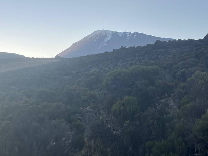 Hazy view of Mount Kilimanjaro's snow-capped summit rising above dark volcanic scrub.