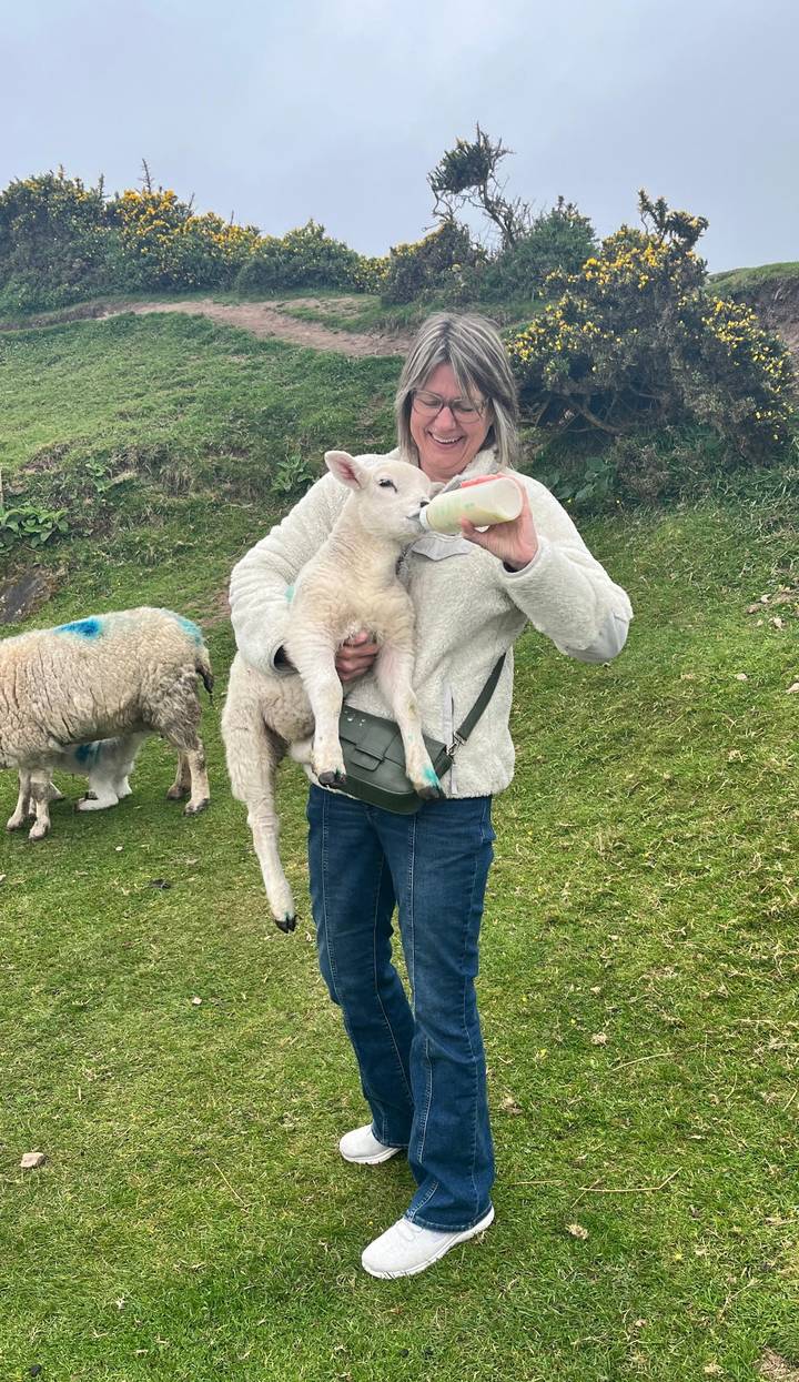 Traveler bottle-feeding a lamb while holding it, with another sheep grazing on green grass nearby.