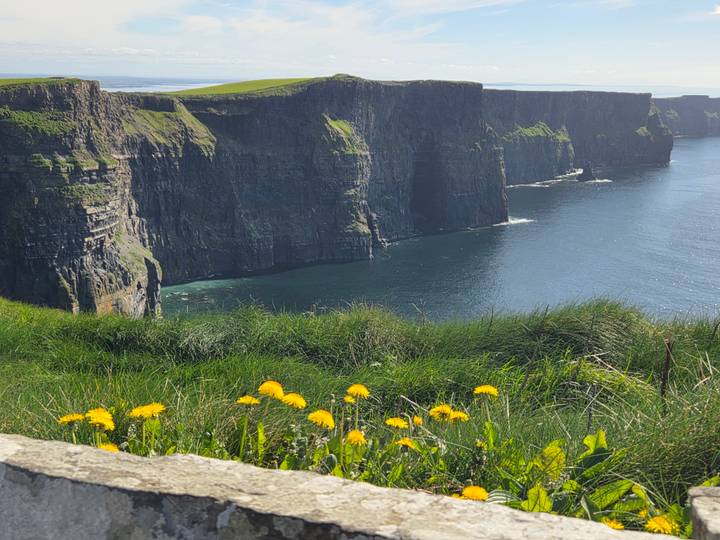 Dramatic view of the Cliffs of Moher plunging into the Atlantic Ocean, framed by wild yellow dandelions in the foreground.
