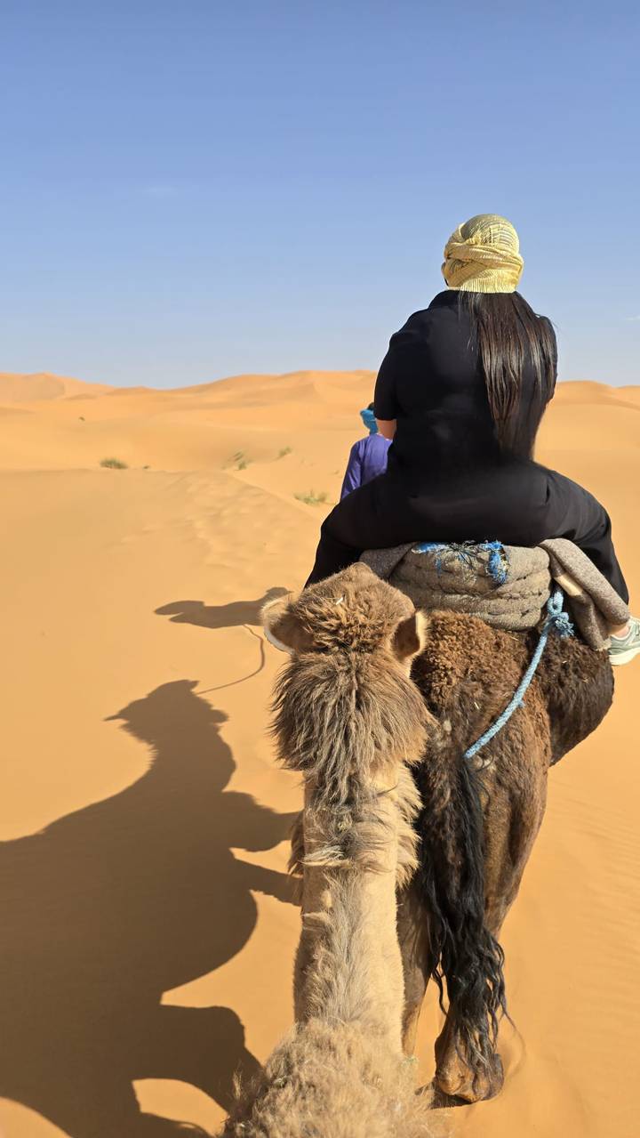 Rear view of travelers riding camels across golden sand dunes in the desert.
