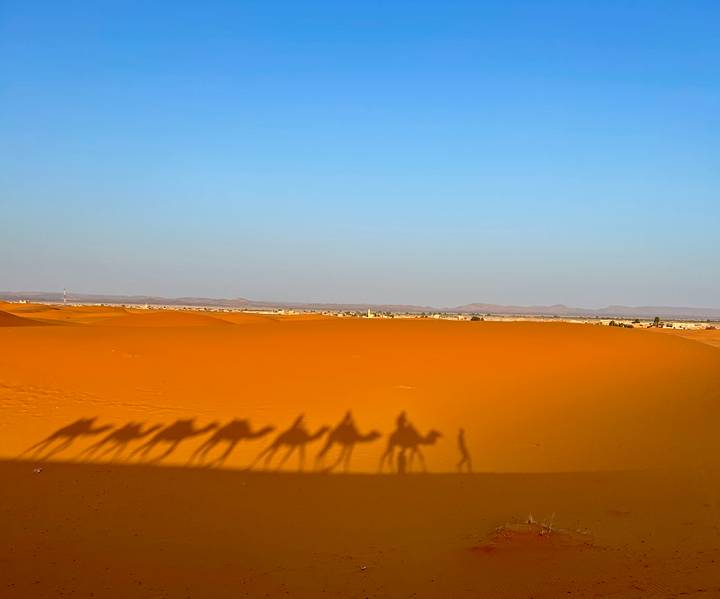 Long shadows of a camel caravan trek across golden Sahara dunes under a clear blue sky.